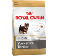Yorkshire Terrier Junior Royal Canin